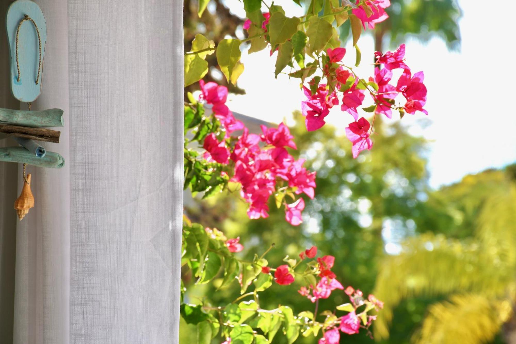 Apartament Aquamarine - Gemstone Getaway Vale do Lobo Zewnętrze zdjęcie